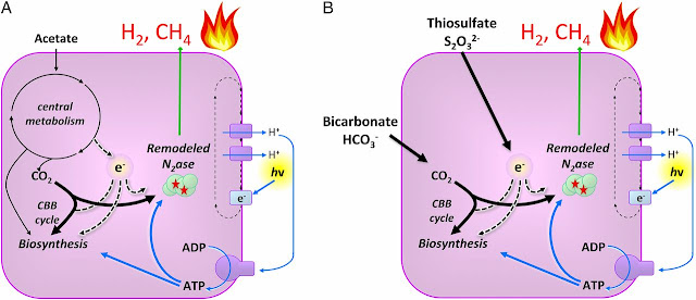 Methane Fuel