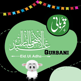 Qurbani