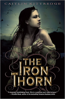 https://www.goodreads.com/book/show/6234910-the-iron-thorn