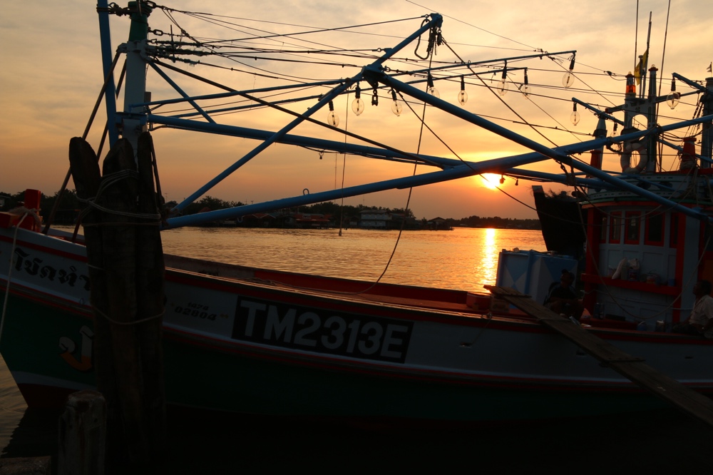 Sunset view