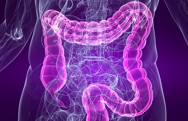 Fecal Transplants Benefit IBS Patients: Study