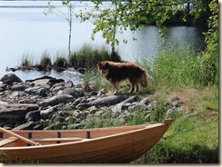 Trevatn, 28.juni-09 033