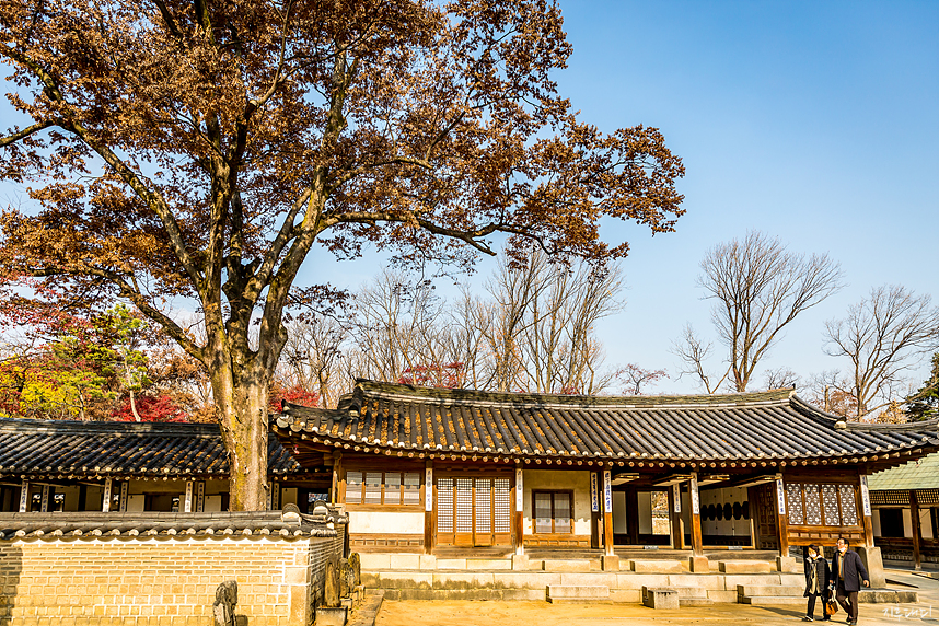 Changdeokgung Palace Huwon tour