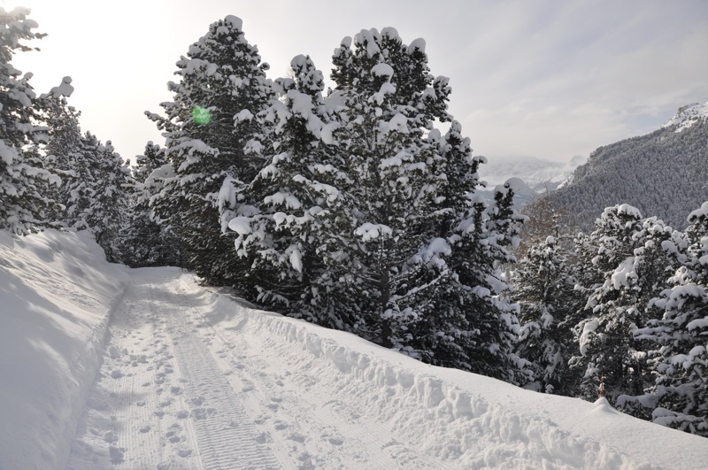 DSC_7490.JPG