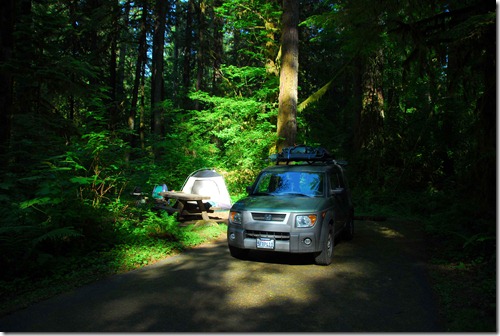 Cispus Campsite