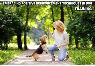 Embracing positive reinforcement techniques in dog training - In this blog post, we'll delve into the world of positive reinforcement and explore how it can revolutionize the way you train your furry companion  #DogTraining, #PositivePups, #TrainWithLove, #PawsitiveTraining, #HappyHounds, #GoodDoggo, #PositiveReinforcement, #DogTrainingTips, #RewardBasedTraining, #PositivePetParenting, #ClickerTraining, #HappyTails, #PositiveDogTraining, #TreatsForTricks, #PawsitiveReinforcement, #TrainWithKindness, #GoodBoy,#PositiveTrainingMethods, #DogTraining101, #PositivePaws,#HappyTraining,