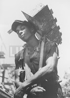 Brick Carrier