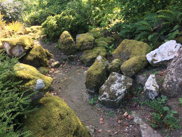 Mossy stones garden