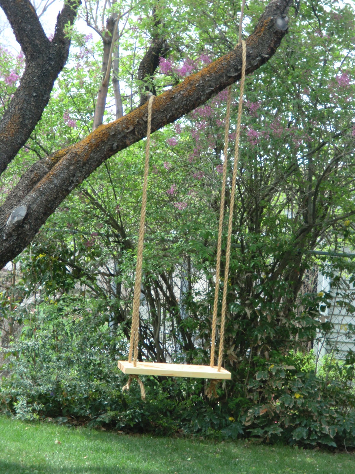 andhannie: tree swing