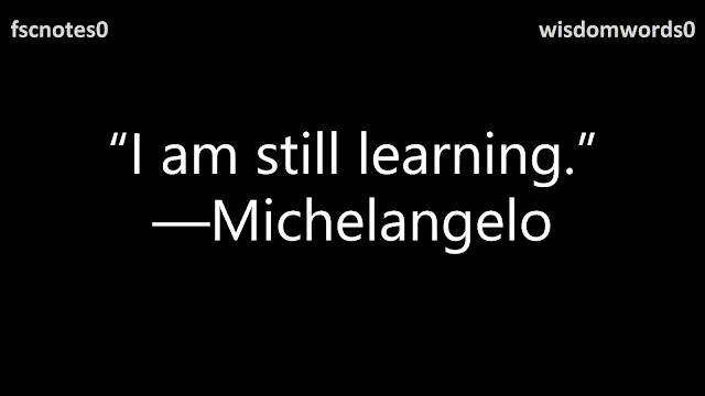 12. “I am still learning.” —Michelangelo