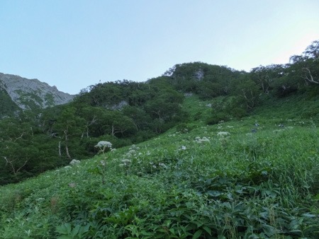 113-DSCF0414