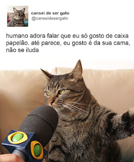 Foto. Na caixa de uma rede social. No canto superior esquerdo a pequena foto de frente do peito para cima do Chico, um gato de pelagem cinza com algumas listras pretas verticais na cabeça e horizontais ao longo do corpo, à direita lê-se: cansei de ser gato; e abaixo: arrobacanseidesergato. Abaixo, um microfone preto com a logomarca do canal de TV em frente e bem próximo à boca de Chico entre os longos bigodes brancos dele. Acima lê-se: humano adora falar que eu só gosto de caixa de papelão. até parece, eu gosto é da sua cama, não se iluda.