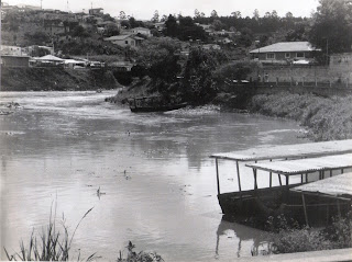 Botelho Netto