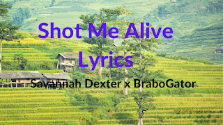 Shot Me Alive Lyrics - Savannah Dexter x BraboGator