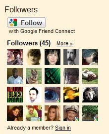 Google Followers