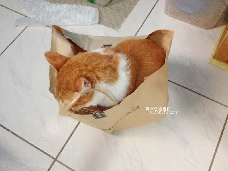 調整大小IMG_1315