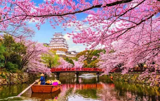 Cherry Blossoms destination in Asia