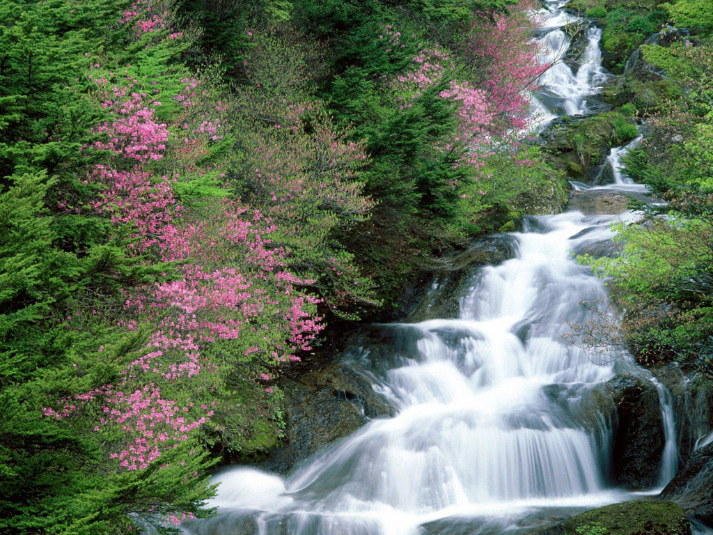 Waterfalls Scenery Wallpapers