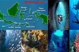 20 Scuba Diving Terbaik Di Indonesia