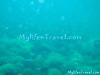 Koh Lipe Diving 37