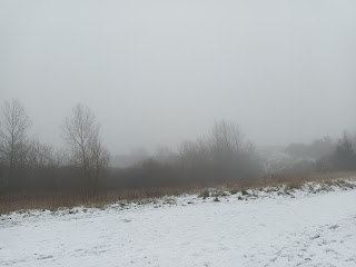 Bare trees in the mist against a pale grey sky, with snow in the foreground.