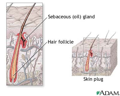 facts about numbing cream