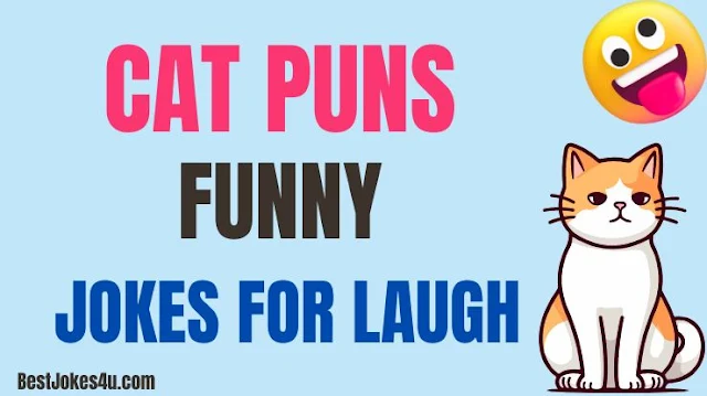 Funny Cat puns