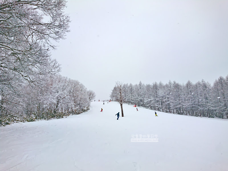 meiho snow resort,岐阜滑雪場