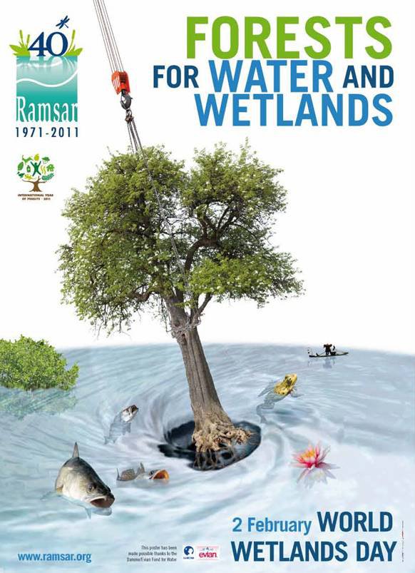 "Wetlands and Forests": the theme for