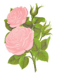 free pink rose clipart crafting download floral art vintage illustraion