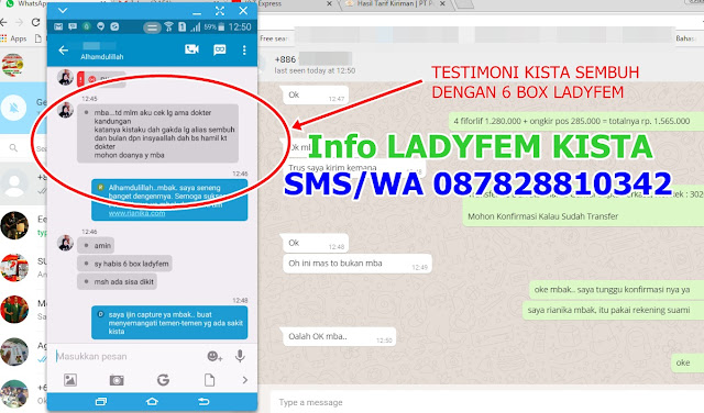 TESTIMONI KISTA SEMBUH DENGAN LADYFEM