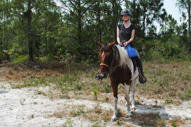 five star stables trail ride