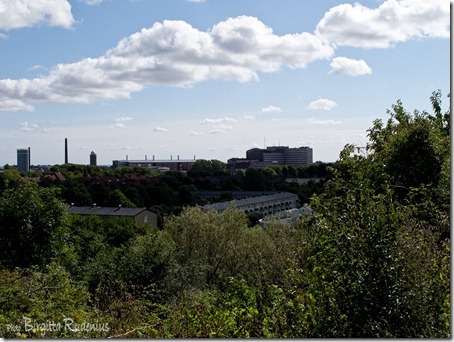 efit_20120903_7