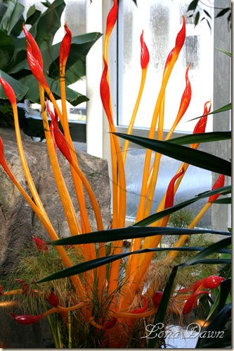 FPC_Chihuly_Flames5