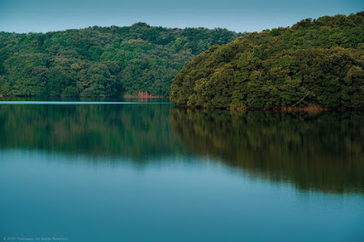 Wooded Hills and Freshwater Reservoir