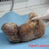 Shocking Story Of A Woman Who Gave Birth To A Mummy  