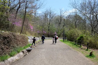 公園内の舗装された道