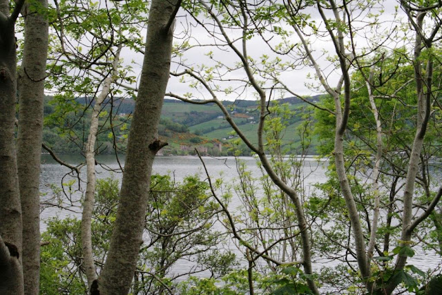 Family Holiday to Loch Ness falls of foyer, culloden battlefield, dores, fort augustus