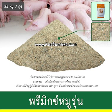 พรีมิกซ์หมูรุ่น