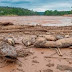 O impacto ambiental em Mariana-MG.