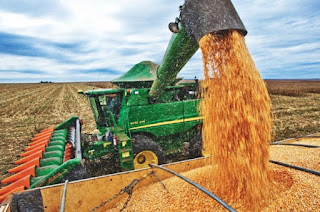 Safra de grãos 2018/2019 deve fechar com recorde de 242,1 milhões de toneladas