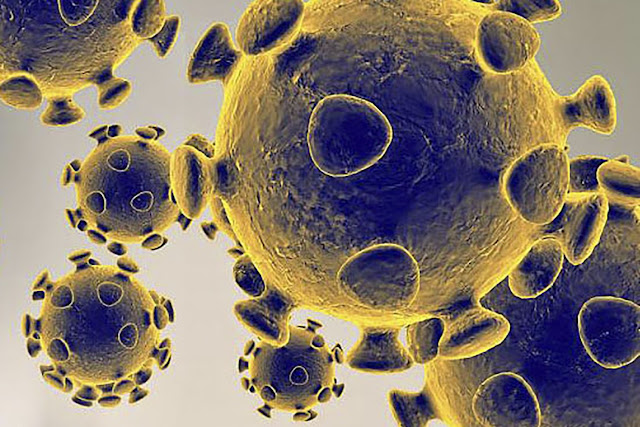 Coronavirus(COVID-19) cases in India