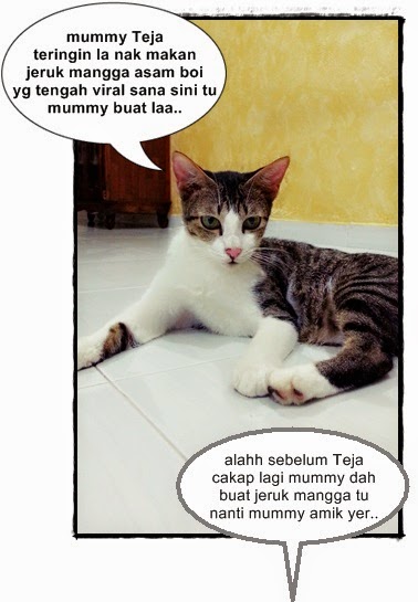 Meowwmania: Jeruk Mangga Asam Boi