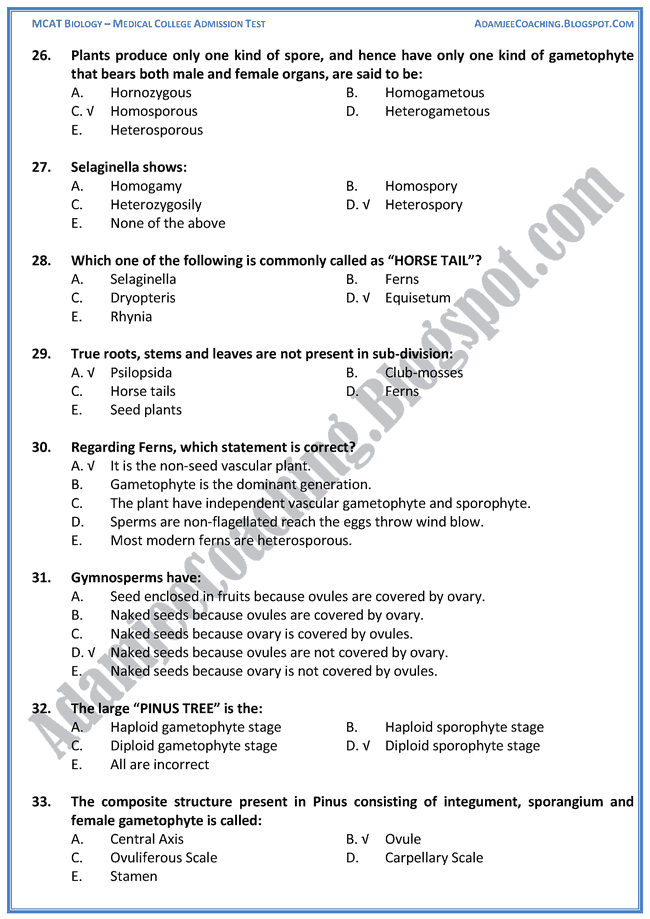 kingdom-plantae-biology-mcat-preparation-notes