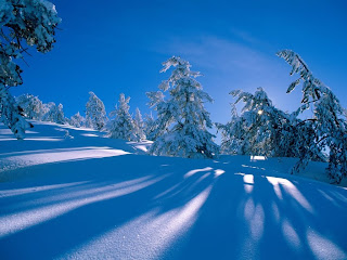 Winter wallpaper