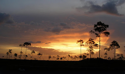 August Sunset