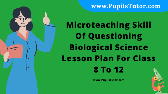 Free Download PDF Of Microteaching Skill Of Questioning Biological Science Lesson Plan For Class 8 To 12 On Mechanism Of Organic Evolution Topic For B.Ed 1st 2nd Year/Sem, DELED, BTC, M.Ed In English. - www.pupilstutor.com