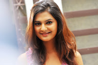 Dil Deewana Movie Heroine Actress Neha Deshpande Photos (6)