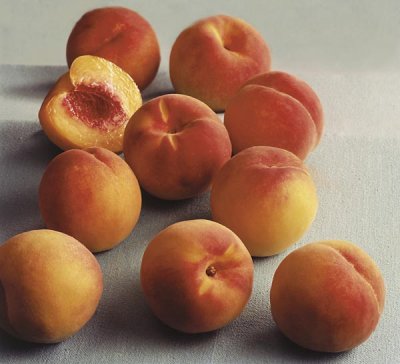 Kandungan Gizi Persik - Peach