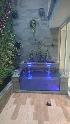 taman dan kolam minimalis